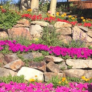 Meet your Posher, Leonor